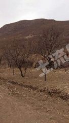 朝阳凌源市 300亩 其它林地 经营权转让