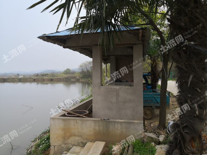 12年经验沉淀：这9条小型垂钓园设计方案，让你的钓场鱼获量和回头客翻倍