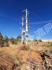 楚雄牟定县 40亩 水浇地 经营权出租