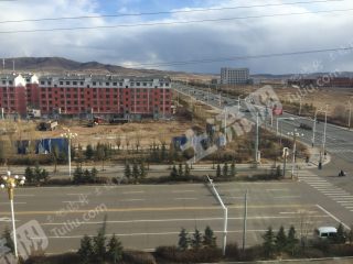 呼和浩特  武川县 8667平米 商业用地 使用权转让