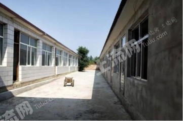 包頭九原區(qū)黃河牛場(chǎng)750平米宅基地使用權(quán)出租