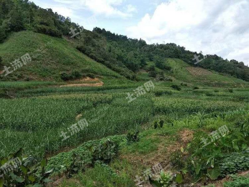 文山土地 广南县土地 广南县耕地 广南县旱地  土地权证 权证类型农村