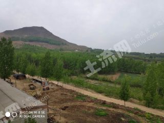 平顶山叶县40亩有林地经营权出租可买