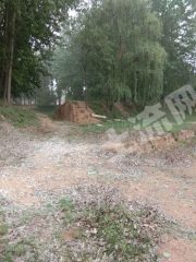 平顶山叶县23亩干水塘经营权出租