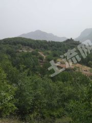 平顶山汝州1000亩灌木林地地下磁铁矿待发掘经营权转让