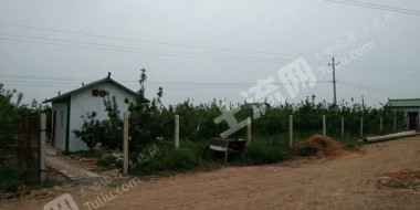 许昌禹州市60亩果园经营权转让