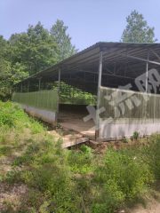 平顶山舞钢市 50亩 畜牧养殖用地 经营权入股