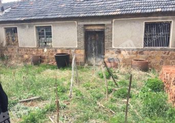 青島即墨市152.33平米宅基地使用權(quán)出租