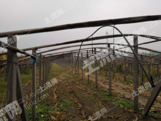 潍坊青州市60亩荒山使用权转让