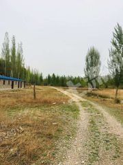 张家口阳原县 180亩 荒地 使用权出租