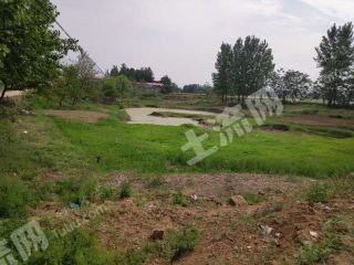 平顶山舞钢市30亩坑塘经营权合作