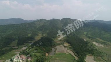 抚州乐安县 2700亩 有林地 流转