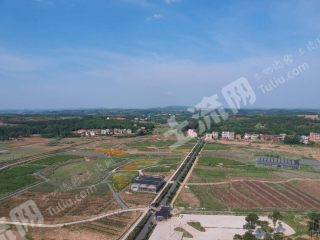 衡阳耒阳市 300亩 水浇地 经营权出租