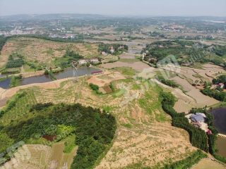 常德津市市500亩果园经营权转让