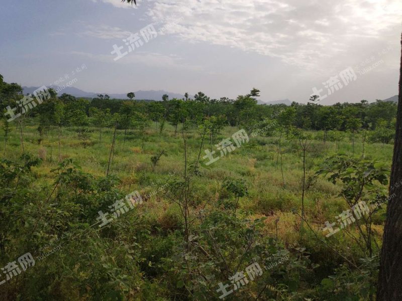 荒地出租20元一亩萧山的简单介绍