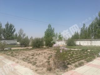 大同左云县 30亩 工业用地 使用权转让