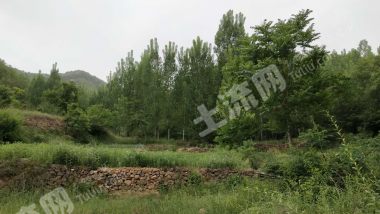 平顶山鲁山县 500亩 荒山 使用权出租