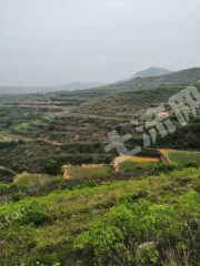 平顶山郏县 1800亩 荒地 先开发后利用