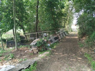 荆门东宝区 30亩 水田 经营权 出租