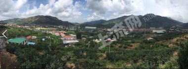 青岛崂山区 10亩 果园 经营权转让