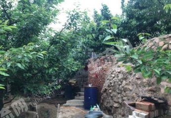 青岛崂山区4亩果园经营权出租