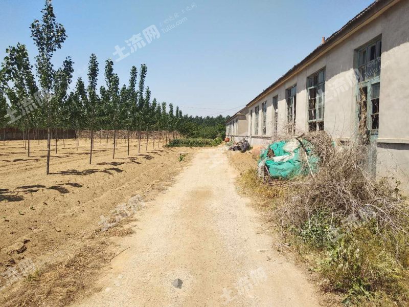 威海文登区泽头镇28亩教育用地使用权出租