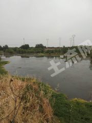 平顶山卫东区 600亩 河流 经营权合作