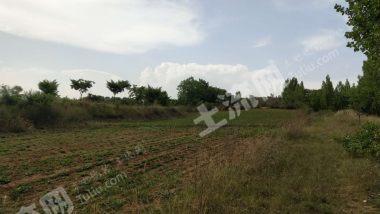 平顶山鲁山县50亩坡地经营权出租