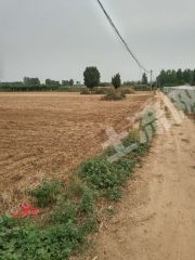 平顶山湛河区50地经营权出租