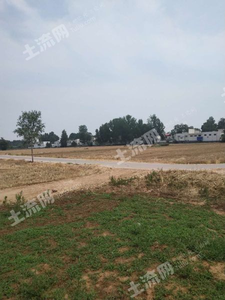 平顶山汝州1000亩沙土地出租