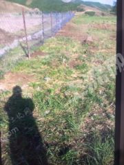 呼伦贝尔扎兰屯市 20亩 人工牧草地 经营权出租