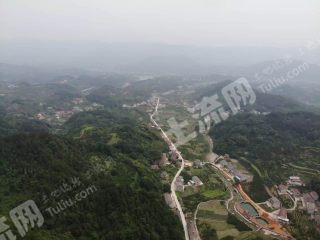 常德石门县 6204亩 乔木林地 经营权转让