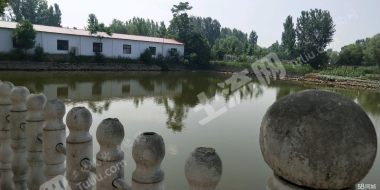 平顶山新华区20亩鱼塘餐饮农家乐经营权出租