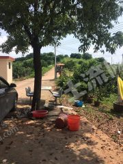 *韶关仁化县250亩果园经营权转包