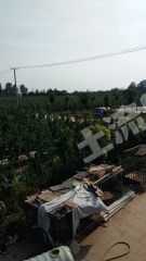 平顶山郏县200亩果园经营权出租