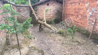 韶关浈江区 1000平方米 农家庭院 使用权出租