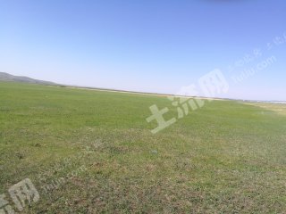呼伦贝尔新巴尔虎左旗 75000亩 天然牧草地 使用权出租