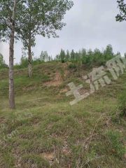 平顶山郏县200亩荒地出租