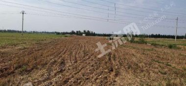 平顶山宝丰县 40亩 荒地 经营权出租