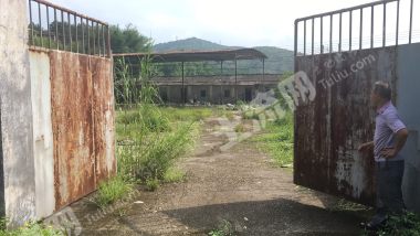 *广东韶关12亩设施平地 菜地 鱼塘经营权出租