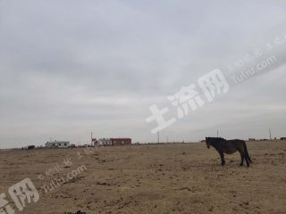 呼伦贝尔鄂温克族自治旗 300亩 畜牧养殖用地 经营权出租