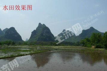 *韶关曲江区180亩水田经营权出租