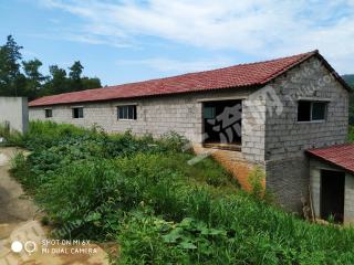 荆门东宝区 10亩 人工牧草地 经营权出租