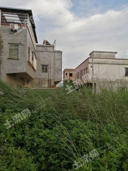 惠州博罗县园洲镇160平方国有证城镇住宅转让