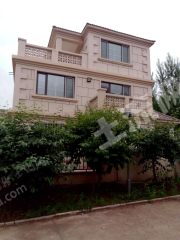 呼倫貝爾  阿榮旗 0.3畝 宅基地 使用權(quán)出租