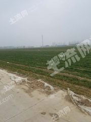 安阳滑县 12亩 水浇地 经营权出租