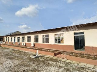 青島膠州市2400平米度假山莊出租