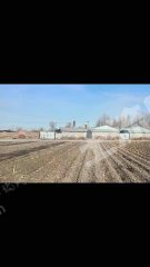 齐齐哈尔碾子山区2.4亩畜牧养殖用地经营权转让