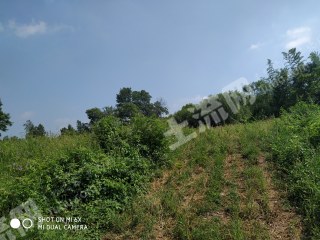 荆门漳河新区3亩仓储用地使用权出租