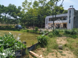 荆门东宝区 240平方米 农家庭院 使用权出租